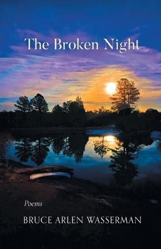 Cover image for The Broken Night