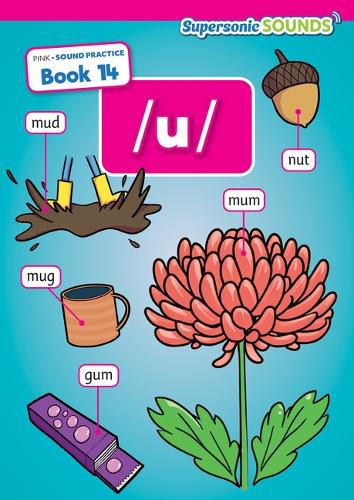 Cover image for Pink Sound Practice Book 14 /U