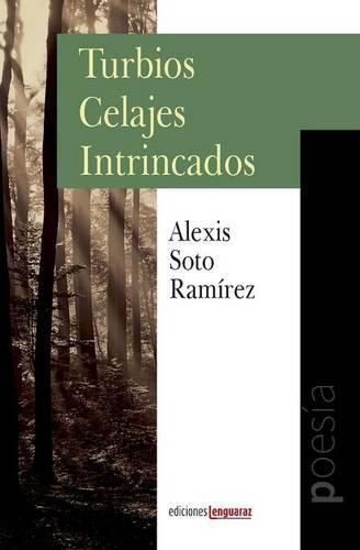 Cover image for Turbios Celajes Intrincados