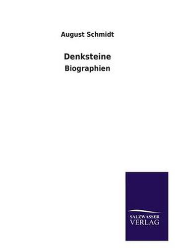 Cover image for Denksteine