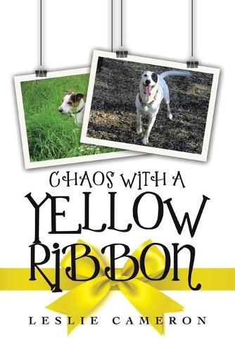 Cover image for Chaos with a Yellow Ribbon