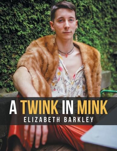 Cover image for A Twink in Mink