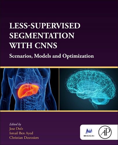 Less-Supervised Segmentation with CNNs