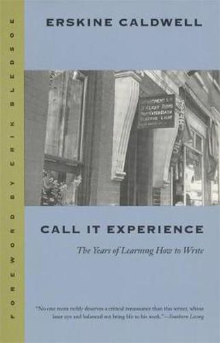 Cover image for Call it Experience: The Years of Learning How to Write