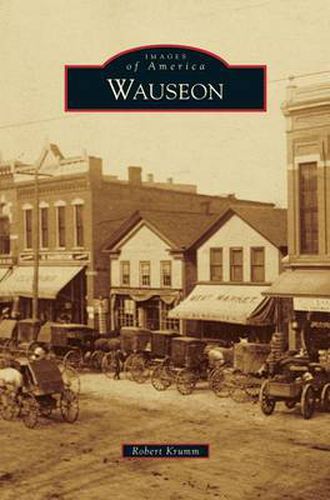 Cover image for Wauseon
