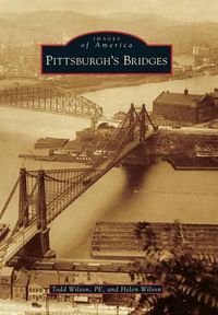 Cover image for Pittsburgh's Bridges