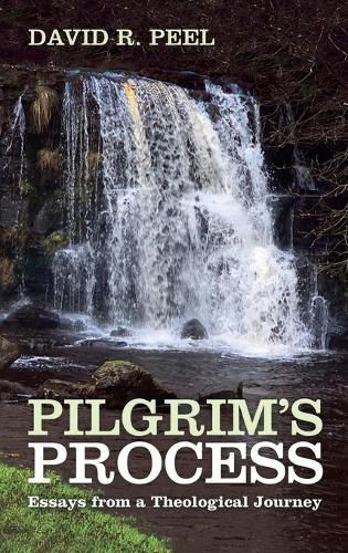 Cover image for Pilgrim's Process