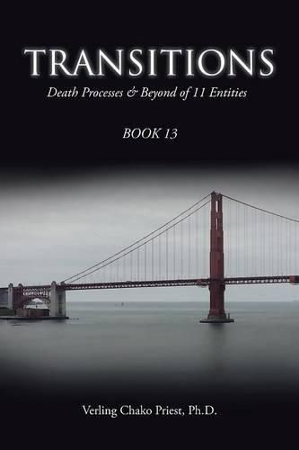 Cover image for Transitions: Death Processes & Beyond of 11 Entities