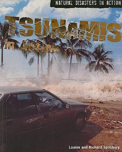 Tsunamis in Action