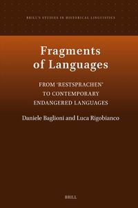 Cover image for Fragments of Languages