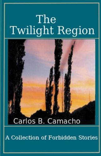 Cover image for The Twilight Region