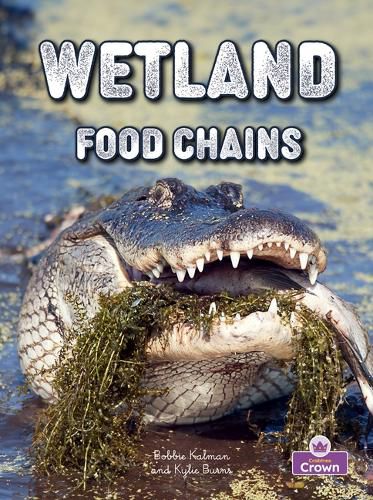 Cover image for Wetland Food Chains