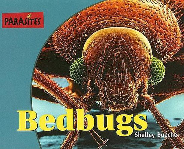 Cover image for Bedbugs