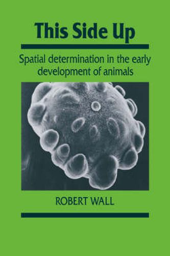 Cover image for This Side Up: Spatial Determination in the Early Development of Animals