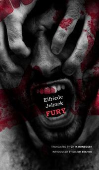 Cover image for Fury