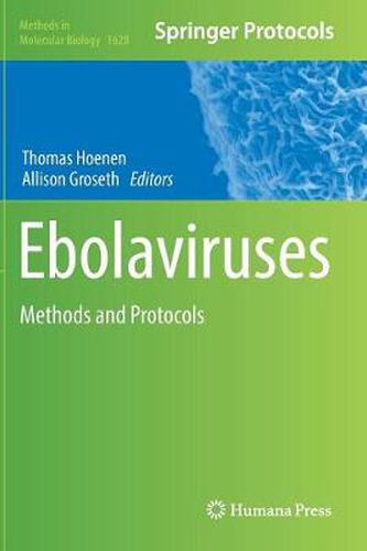 Cover image for Ebolaviruses: Methods and Protocols