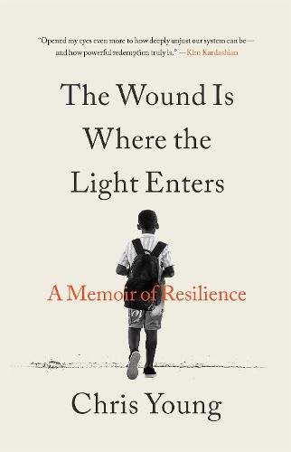 Cover image for The Wound Is Where the Light Enters