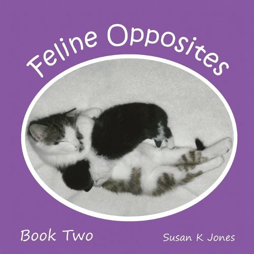 Cover image for Feline Opposites Book Two