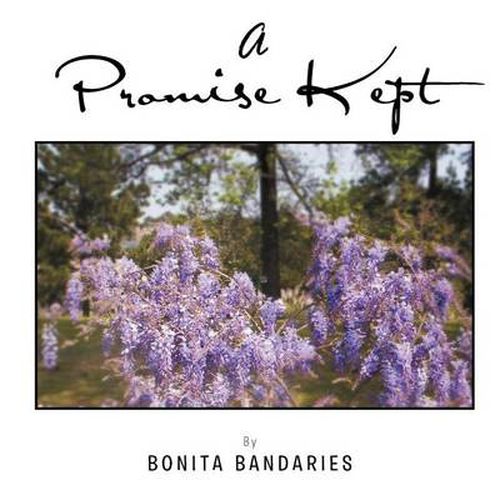 Cover image for A Promise Kept