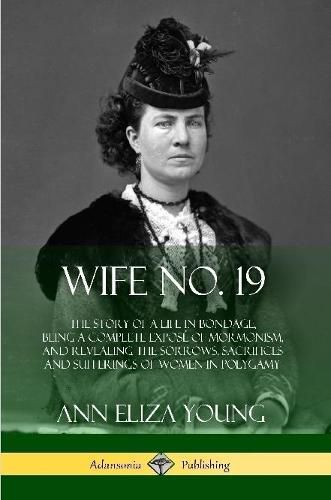 Cover image for Wife No. 19