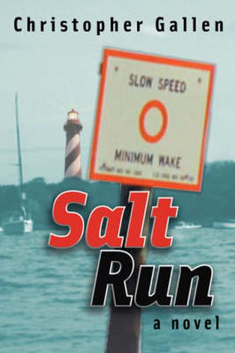 Cover image for Salt Run