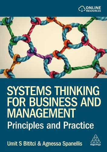 Cover image for Systems Thinking for Business and Management