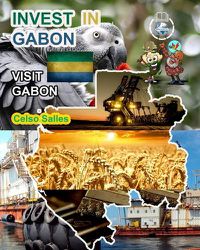 Cover image for INVEST IN GABON - Visit Gabon - Celso Salles