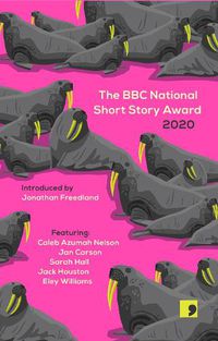 Cover image for The BBC National Short Story Award 2020