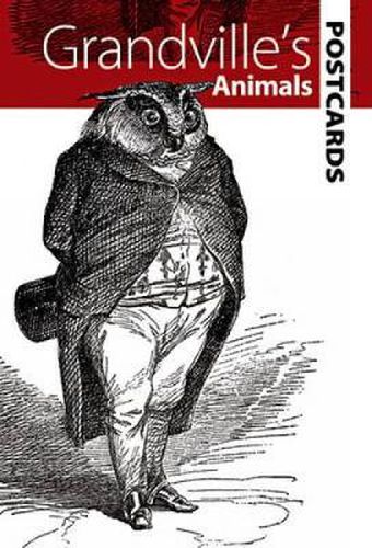 Cover image for Grandville's Animals