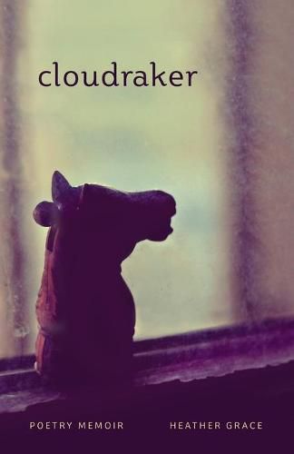 Cover image for Cloudraker