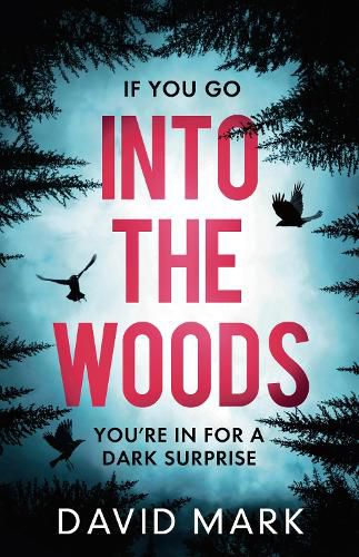 Cover image for Into the Woods