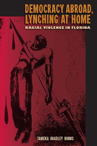 Cover image for Democracy Abroad, Lynching at Home: Racial Violence in Florida