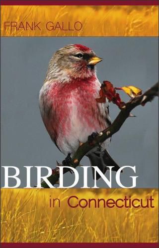 Birding in Connecticut