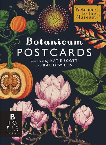 Cover image for Botanicum Postcard Box Set