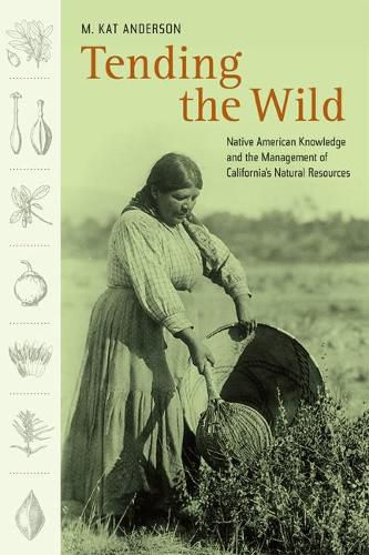 Cover image for Tending the Wild: Native American Knowledge and the Management of California's Natural Resources