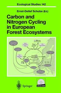Cover image for Carbon and Nitrogen Cycling in European Forest Ecosystems