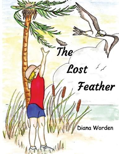Cover image for The Lost Feather