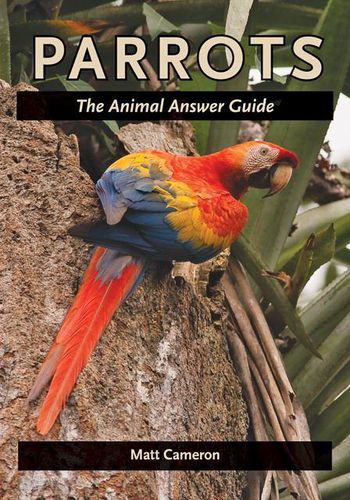 Cover image for Parrots: The Animal Answer Guide