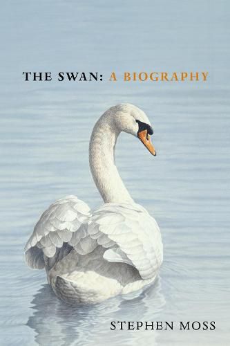 The Swan: A Biography - The must-have gift for bird lovers this Christmas