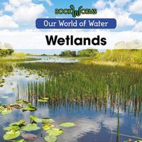 Cover image for Wetlands