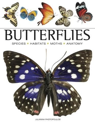 Cover image for Butterflies