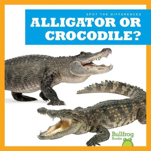 Cover image for Alligator or Crocodile?