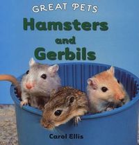 Cover image for Hamsters and Gerbils