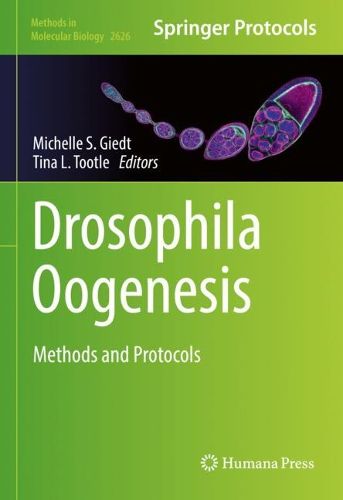 Cover image for Drosophila Oogenesis