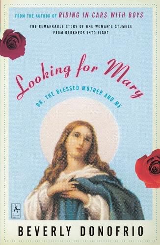 Cover image for Looking For Mary