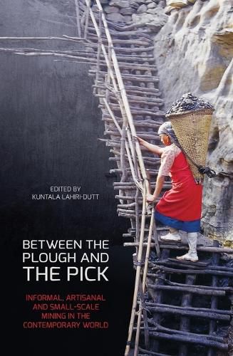 Cover image for Between the Plough and the Pick: Informal, artisanal and small-scale mining in the contemporary world