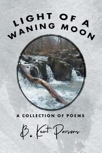 Cover image for Light of a Waning Moon