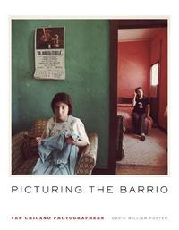 Cover image for Picturing the Barrio: Ten Chicano Photographers