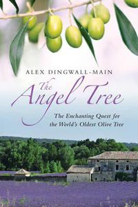 Cover image for The Angel Tree: The Enchanting Quest for the World's Oldest Olive Tree