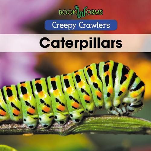 Cover image for Caterpillars